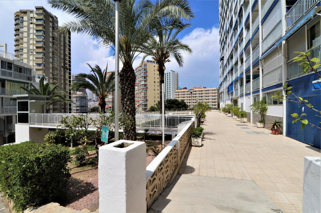 La Perla Benidorm Apartment Seaview & Pool Levante Beach Exteriör bild